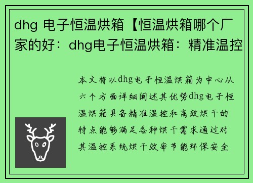 dhg 电子恒温烘箱【恒温烘箱哪个厂家的好：dhg电子恒温烘箱：精准温控，高效烘干】